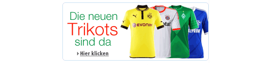 Bundesligatrikot 2012 und 2013 billig