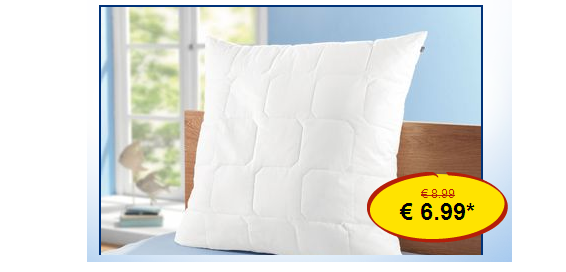 LIDL Highlight des Tages - MERADISO Kochfestes Kopfkissen