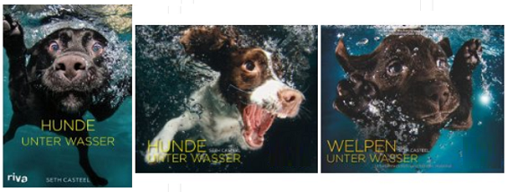 Hund unter Wasser Kalender und Buch: Geschenkidee » spaaaren.de